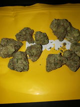 Massivefacts review photo