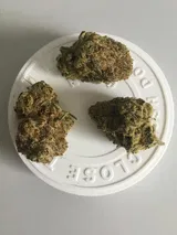 Garlic review photo