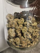 DT review photo