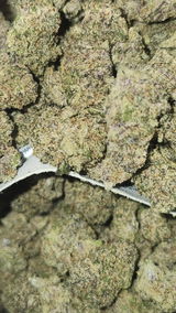 That o.b.g. review photo