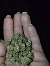 Anonymous review photo