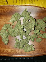 Massivefacts review photo