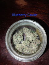 Tyler B. review photo