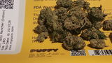 That o.b.g. review photo