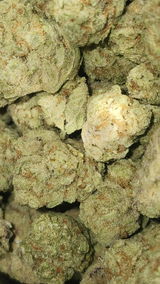 That o.b.g. review photo