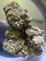 Anibal S. review photo