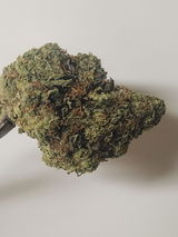 Joseph D. review photo