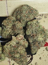 Joseph D. review photo