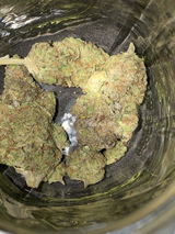 L.T. review photo