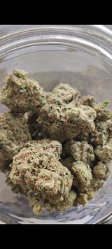 brelva review photo