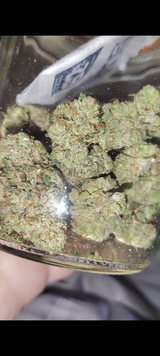 brelva review photo