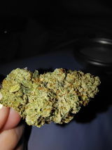 brelva review photo