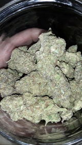 brelva review photo