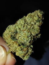 brelva review photo
