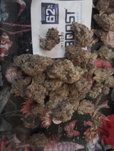 seriocity@protonmail.com review photo