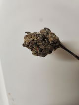 Joseph D. review photo
