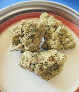 Kimberly G. review photo