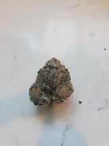 Jacob H. review photo