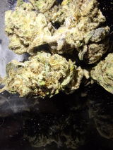 Mr.Dank review photo