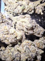 Mr.Dank review photo
