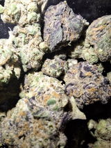 Mr.Dank review photo