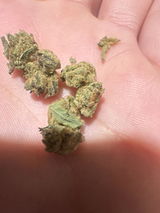 Anon review photo