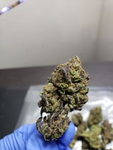 Massivefacts review photo