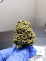 Massivefacts review photo