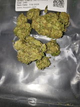 Massivefacts review photo