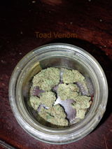 Tyler B. review photo
