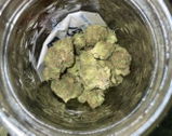 J. review photo
