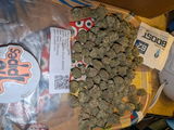 Brad C. review photo