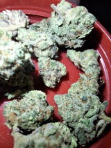 Mr.Dank review photo