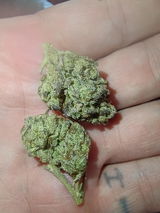 rocio v. review photo