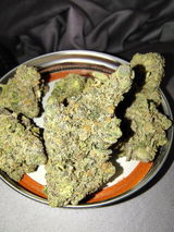 brelva review photo