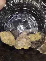 brelva review photo