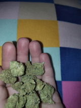 Anonymous review photo