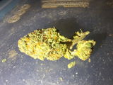 Mr.Dank review photo