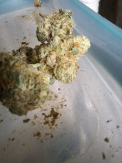 Review picture