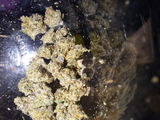 Mr.Dank review photo