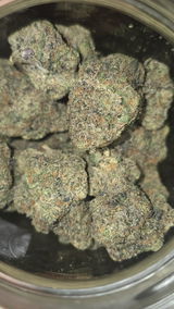 Jabari J. review photo