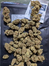 Brad C. review photo