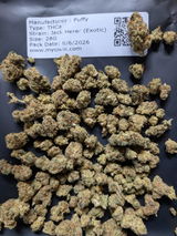 Brad C. review photo