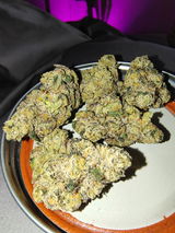 brelva review photo