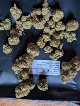 Brad C. review photo