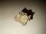 S review photo