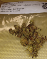 S review photo