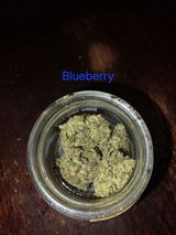 Tyler B. review photo