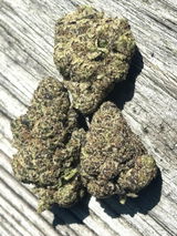 HFEBarb review photo