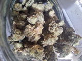 Mr.Dank review photo